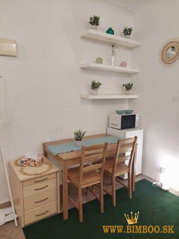 Prenájom garsónky – Dostojevského rad