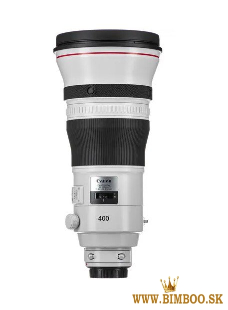 Canon EF 400mm f/2.8L IS III USM Lens