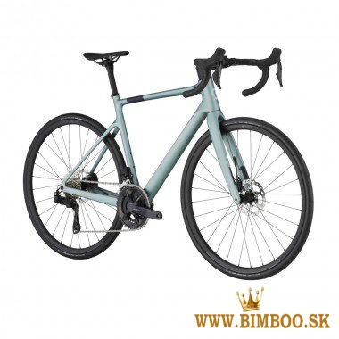 2025 Scott Addict 40 Road Bike (indoracycles.com)