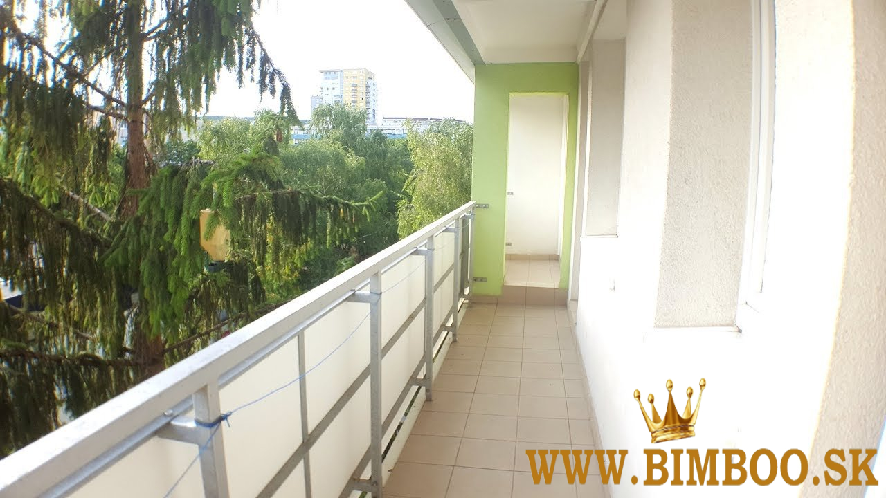 Prenájom 1-izbového bytu na Donnerovej 