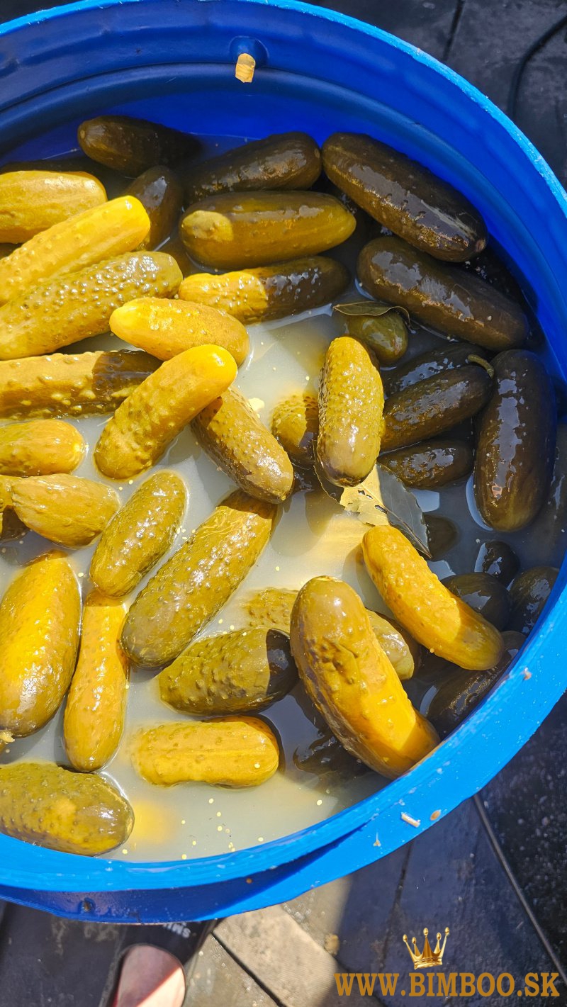 Predám kyslú kapustu, šťavu z kyslej kapusty a zeleninu