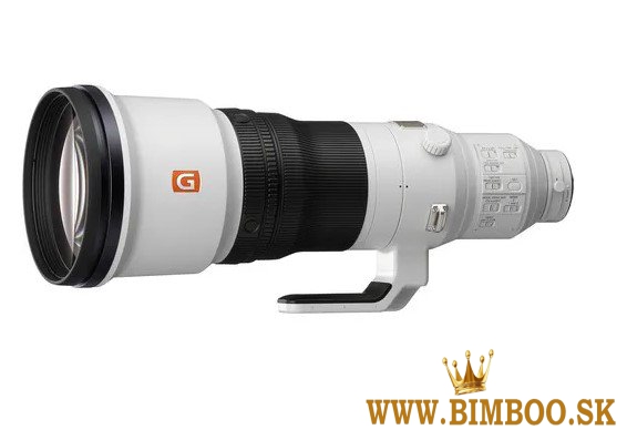 Sony FE 600mm f/4 GM OSS Lens