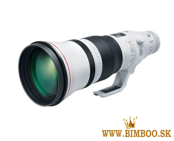 Canon EF 600mm f/4L IS III USM Lens