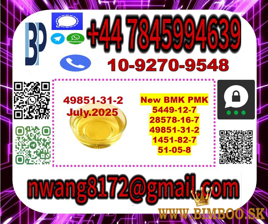 BMK PMK 49851-31-2 source factory