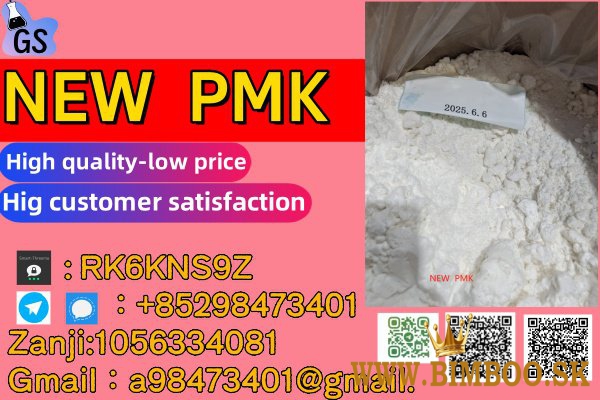 NEW BMK PMK CAS:49851-31-2, 1451-82-7