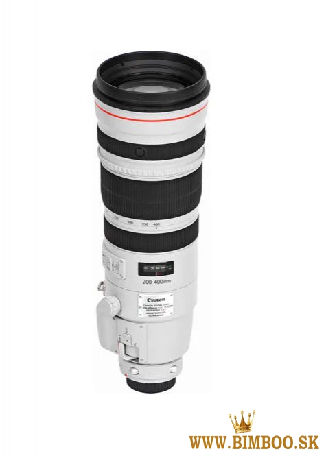 Canon EF 200-400mm f/4L IS USM Extender 1.4x Lens