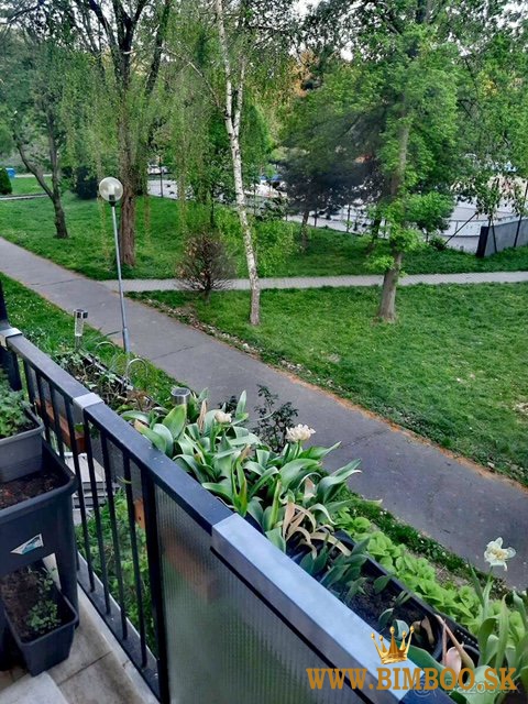 Ponúkame na prenájom pekný 3- izbový byt vo výbornej tichej